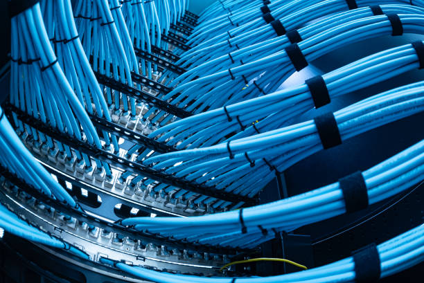 network cable